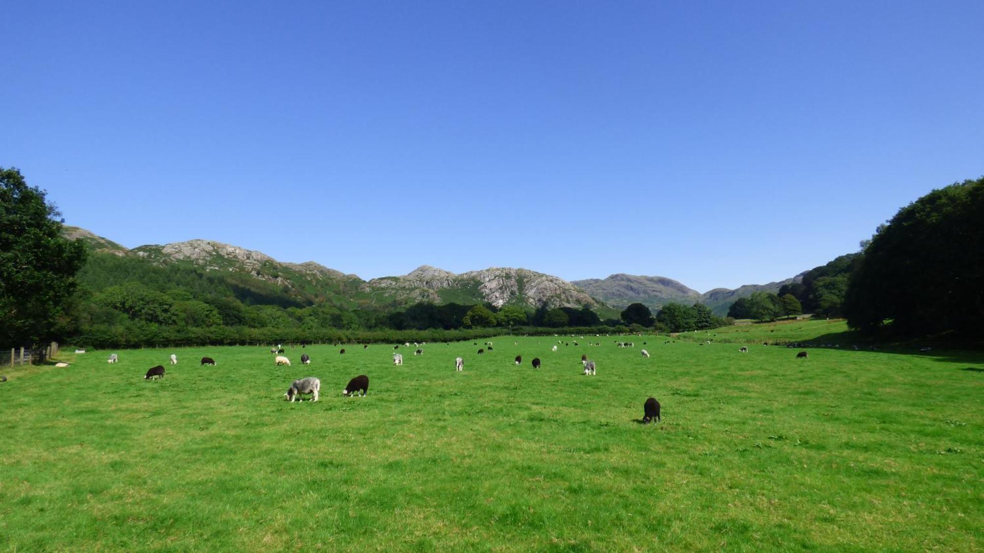 Renovated 5 Bedroom Farmhouse In Picturesque Eskdale, Lake District Luaran gambar